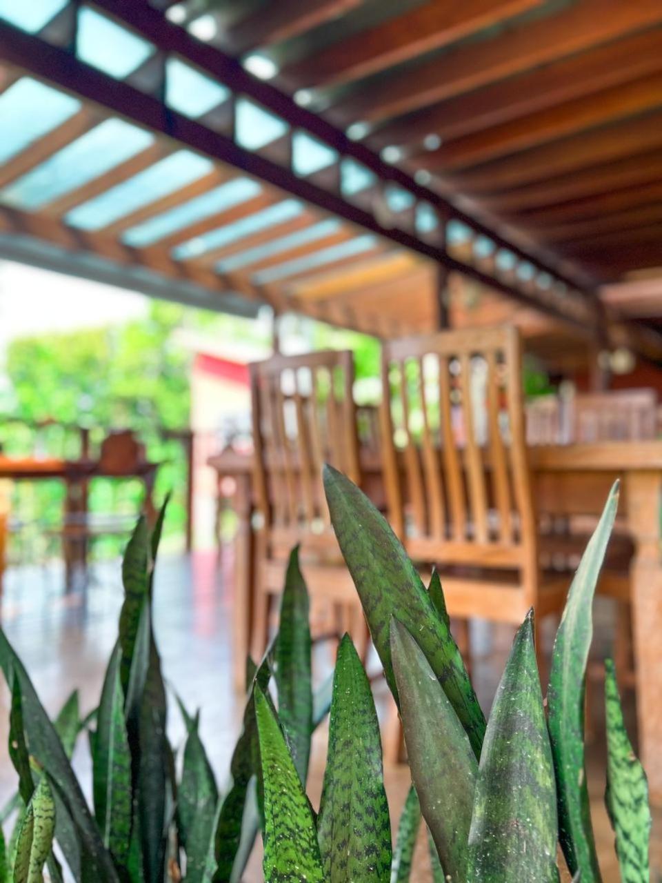 Pousada Verde Villas 布鲁马迪纽 外观 照片