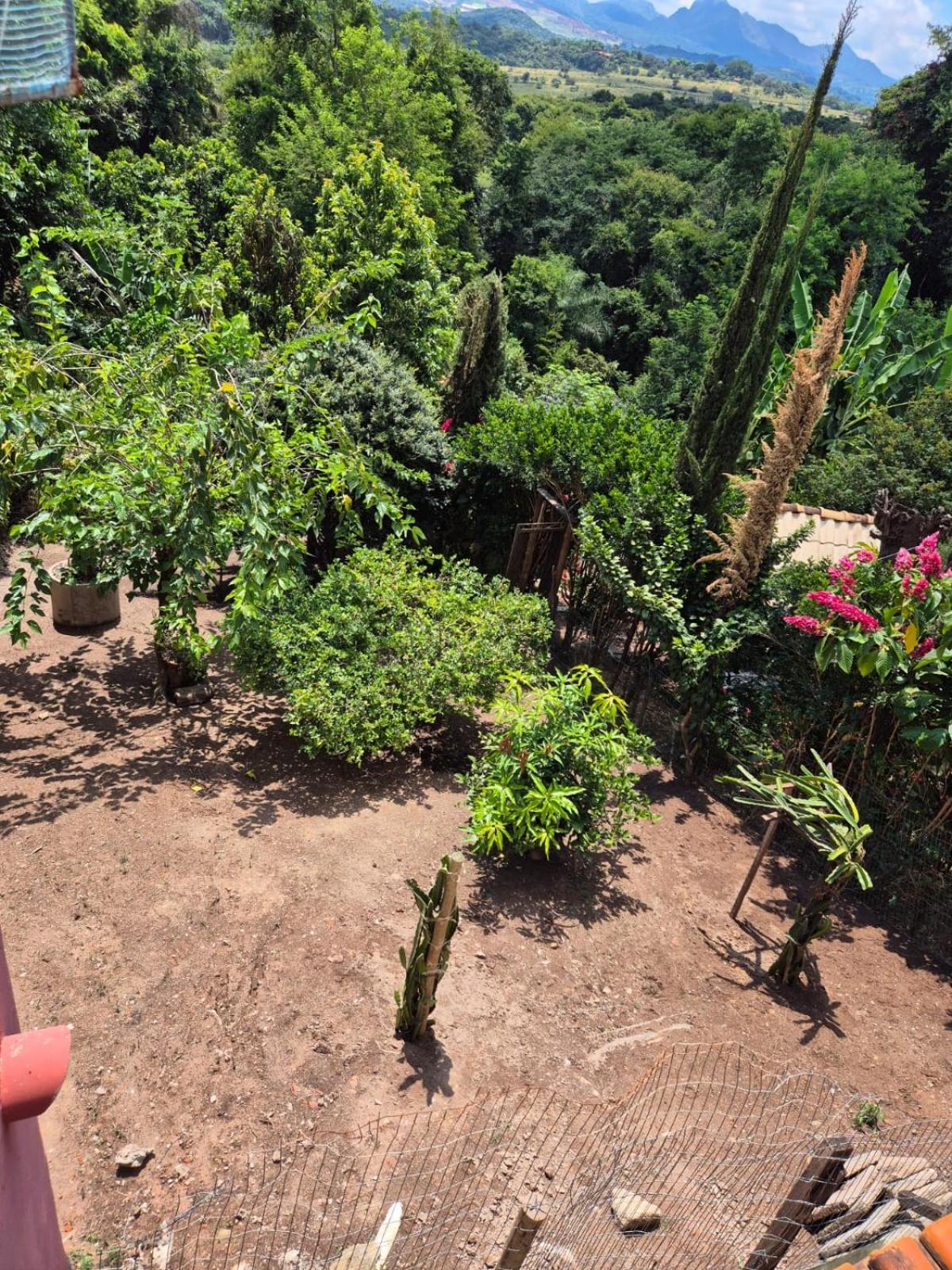Pousada Verde Villas 布鲁马迪纽 外观 照片